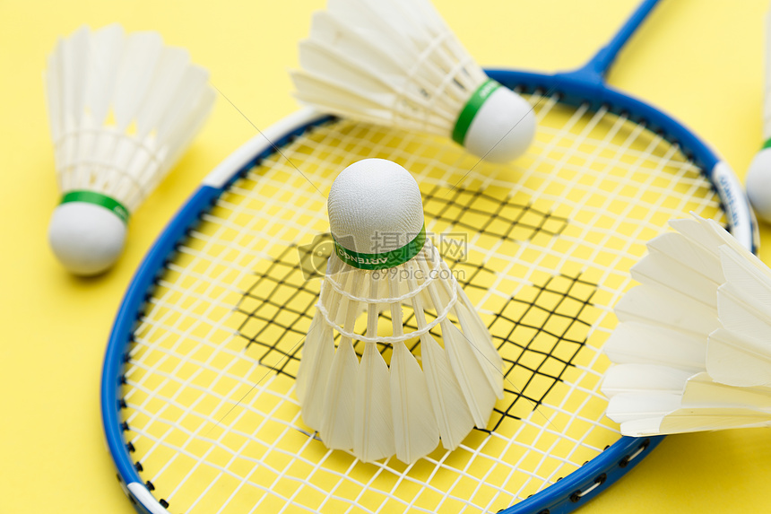 分发挥杰曼 分发挥杰曼