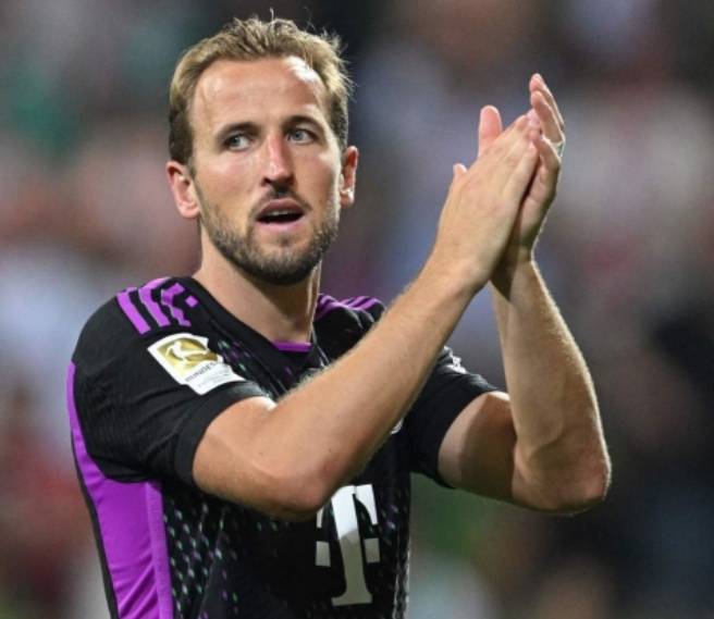 浓缩精华的 浓缩精华的